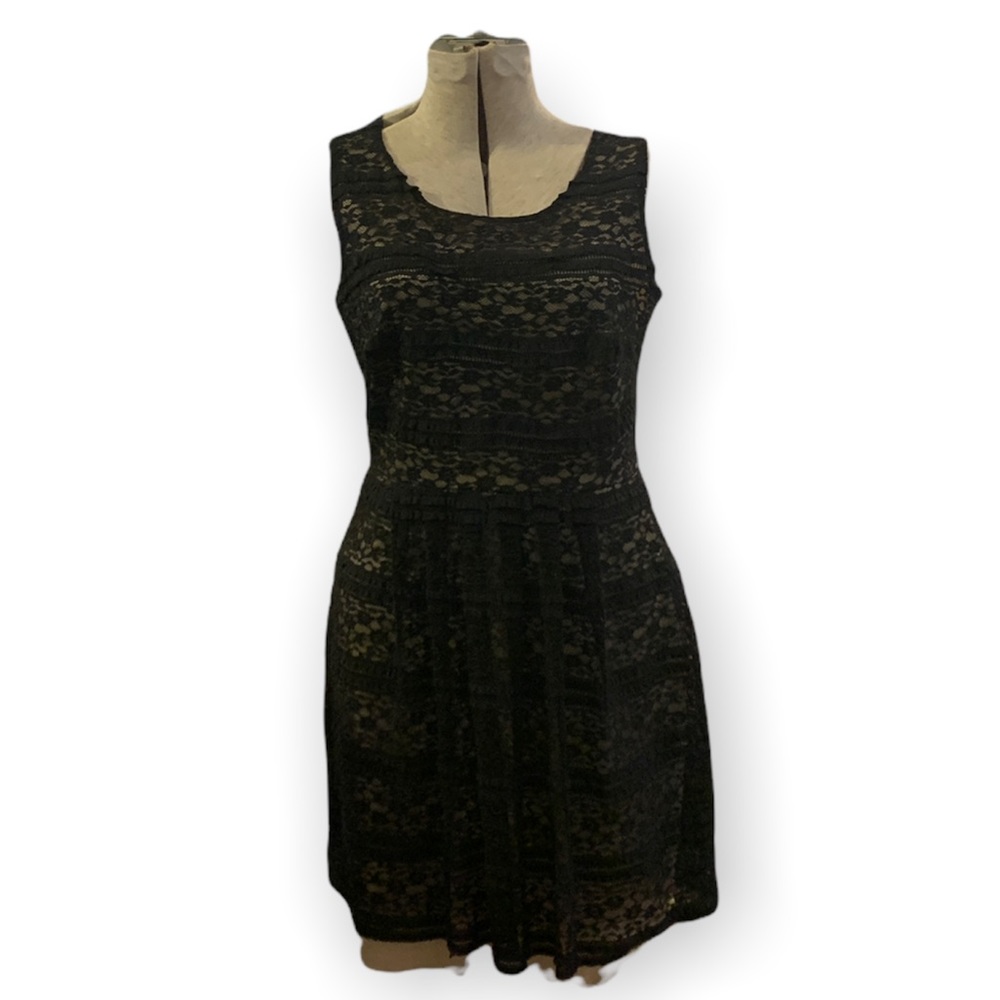 Black Lace Fit and Flare Dress